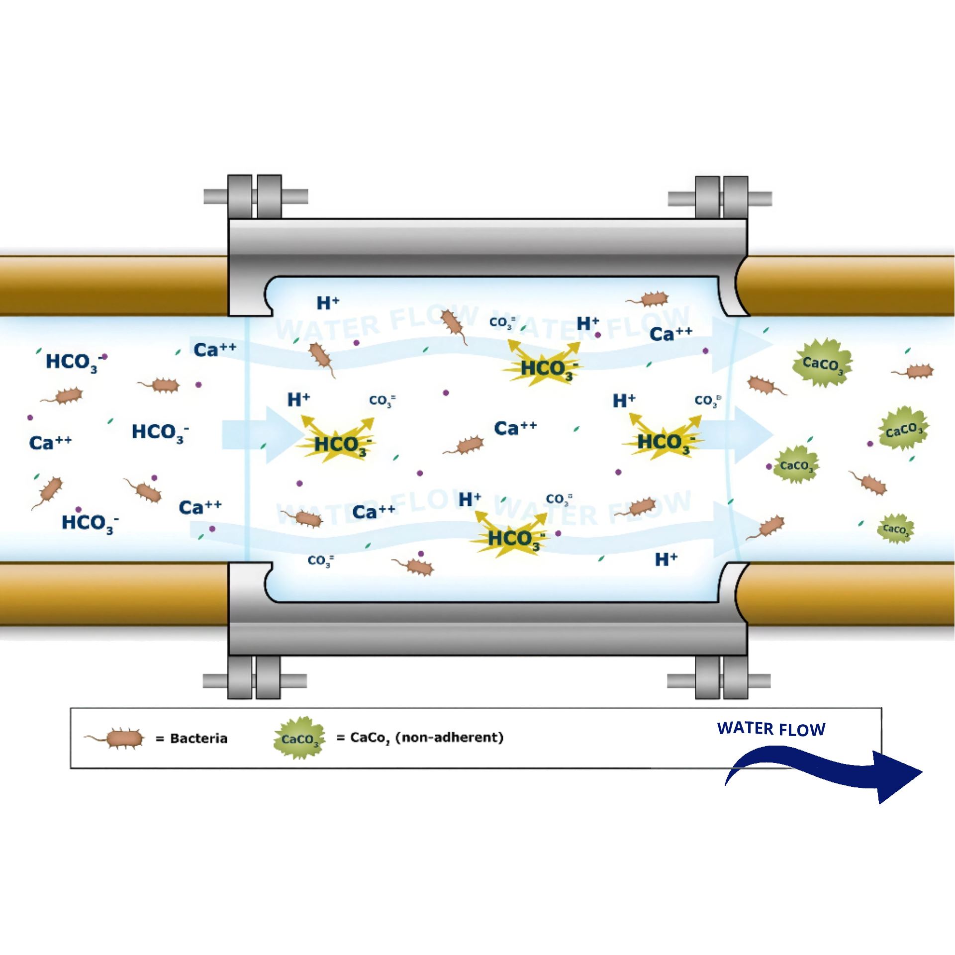 איור מנגנון פעולה sb004.jpg