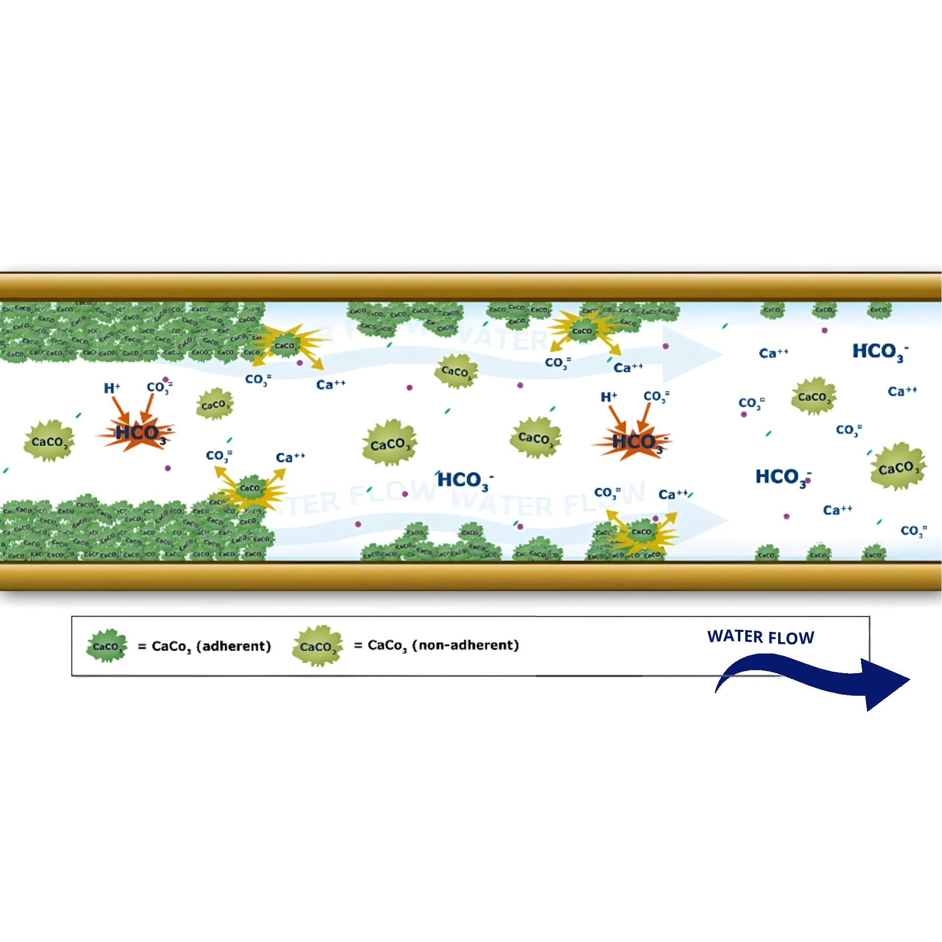 איור מנגנון פעולה sb005.jpg